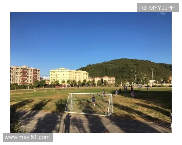 如何设计一个既美观又实用的足球星卡收纳方案提升收藏体验